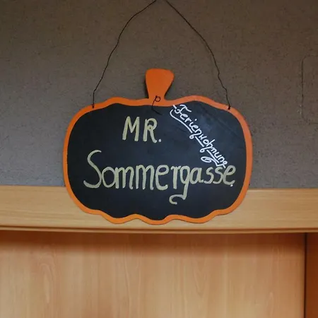 Mr. Sommergasse דירה *